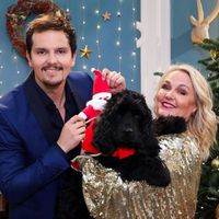 Audiences access 19h : Record pour "Mon plus beau Noël", "Quotidien" et "TPMP" en forme, "DNA" faible