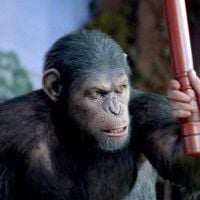 Box-office : "La Planète des Singes" signe le quatrième démarrage de l'année