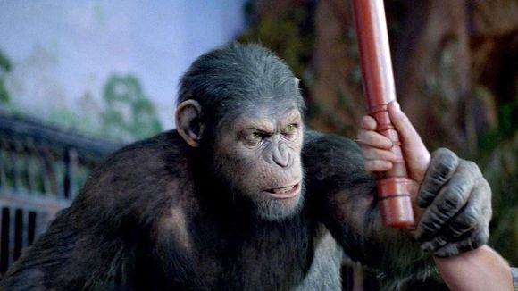 Box-office : "La Planète des Singes" signe le quatrième démarrage de l'année