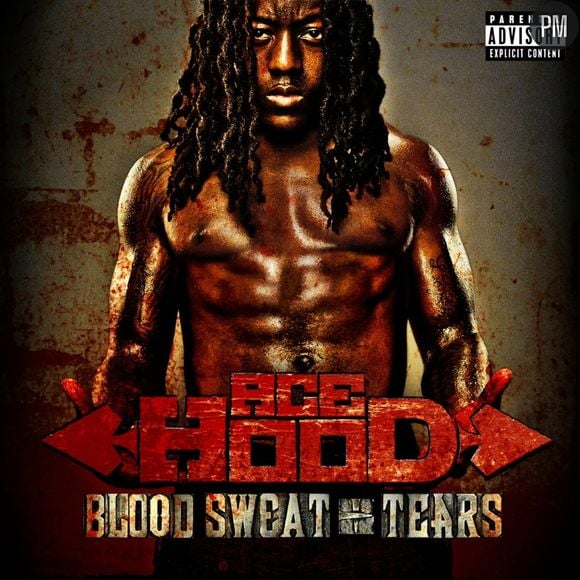 8. Ace Hood - Blood Sweat + Tears / 26.000 ventes (Entrée)