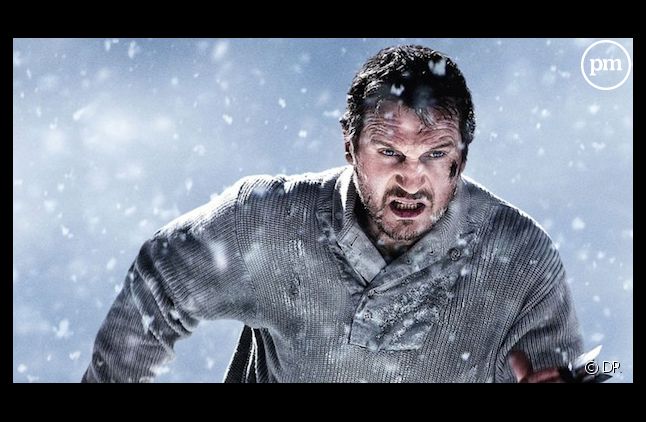 Liam Neeson dans "Le Territoire des loups"
