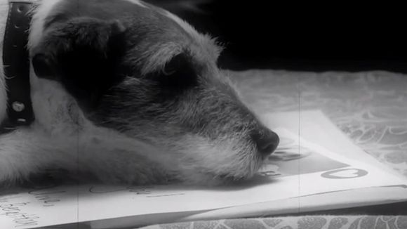 Uggie, le chien de "The Artist", sort ses mémoires !