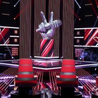 "The Voice" 2x01 : "Quand je me suis retourné, t'avais à peu près 120 kilos de moins que ce que je croyais"