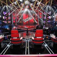 Grand Prix des médias : TF1 primée pour l'installation réussie de "The Voice"