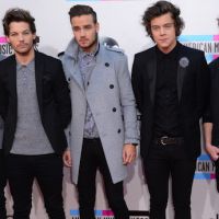 One Direction au Stade de France : le phénomène en 10 chiffres