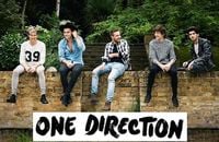 "Steal My Girl", le nouveau One Direction