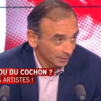 PlugGate : Eric Zemmour "assez content" de la destruction de "l'arbre" de Paul McCarthy