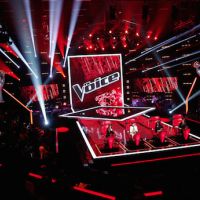 Audiences : "The Voice" leader devant le "Cabaret" et "Le Sang de la Vigne", Arte en forme