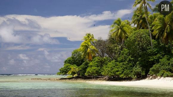 "The Island : Seuls au monde", bientôt sur M6