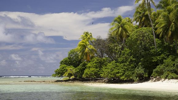 M6 va diffuser "The Island : Seuls au monde", un documentaire d'aventure