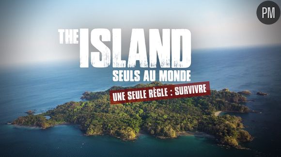 Bon bilan pour "The Island"