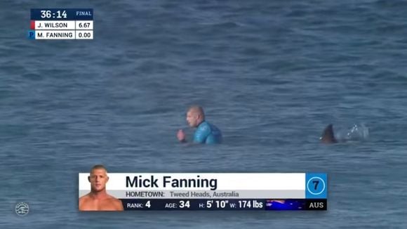 Un surfeur attaqué par un requin en direct pendant un championnat