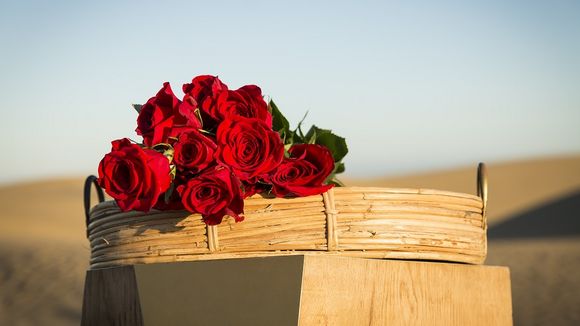 "Bachelor" sur NT1 : Découvrez les 21 prétendantes de la saison 3