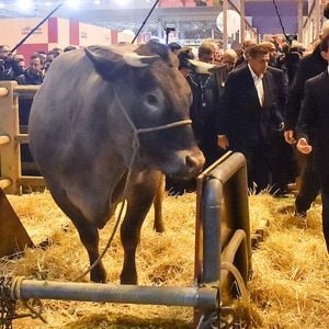 Manuel Valls a visité ce week-end le Salon de l'Agriculture