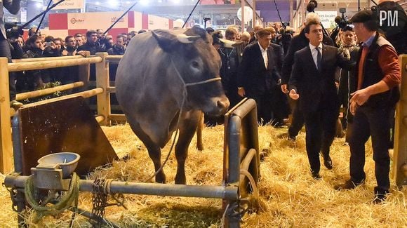 Manuel Valls a visité ce week-end le Salon de l'Agriculture