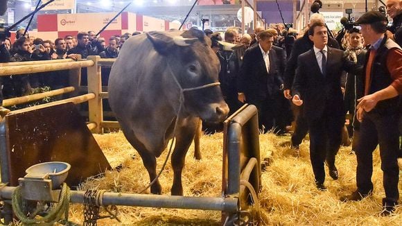 Salon de l'Agriculture : La Une de "20 Minutes" truffée de jeux de mots animaliers