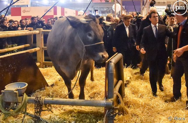 Manuel Valls a visité ce week-end le Salon de l'Agriculture