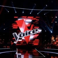 Audiences : "The Voice" large leader, France 3 plus fort que Patrick Sébastien