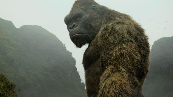 Box-office US : "Kong" ne fait qu'une bouchée de "Logan"