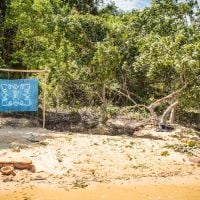 "Koh-Lanta Cambodge", épisode 2 : "C'est le choc !"