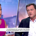 Louis Aliot : "'Quotidien' et 'Mediapart' font de l'espionnage"