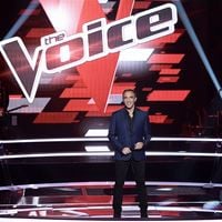 Audiences : "The Voice" leader, Michel Drucker en forme devant France 3 et M6