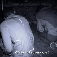 "Koh-Lanta" : Sébastien se fait piquer par un scorpion