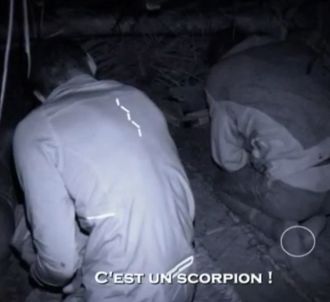 Sébastien se fait piquer par un scorpion.
