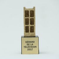 Gérard de la télévision 2017 : Le palmarès complet