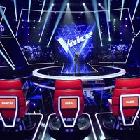 "The Voice" 2018, épisode 2 : "Je pensais que c'était une vieille"