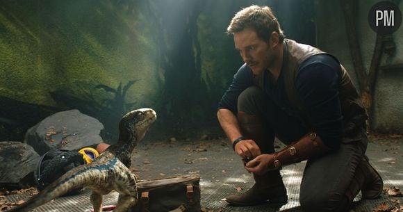 Chris Pratt dans "Jurassic World : Fallen Kingdom"