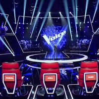 "The Voice" 2018, épisode 5 : "Une femme à barbe !"