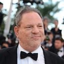 The Weinstein Company va se déclarer en faillite