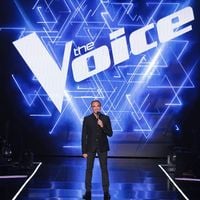 Audiences : "The Voice" leader en chute libre, le téléfilm de France 3 puissant, Patrick Sébastien progresse