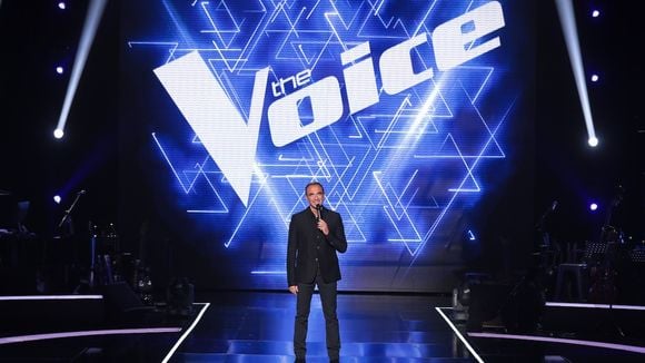 Audiences : "The Voice" leader en chute libre, le téléfilm de France 3 puissant, Patrick Sébastien progresse