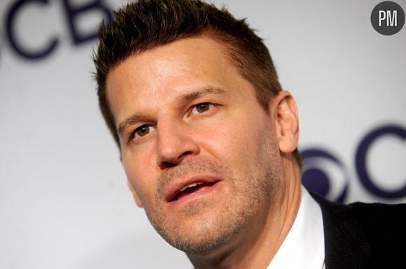 David Boreanaz