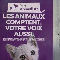 Débat des européennes : Le Parti animaliste annonce avoir saisi le CSA et le tribunal administratif