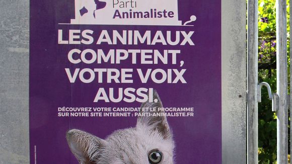 Débat des européennes : Le Parti animaliste annonce avoir saisi le CSA et le tribunal administratif