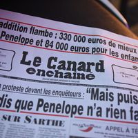 "Le Canard Enchaîné" : Résultats déplumés pour l'hebdomadaire satirique