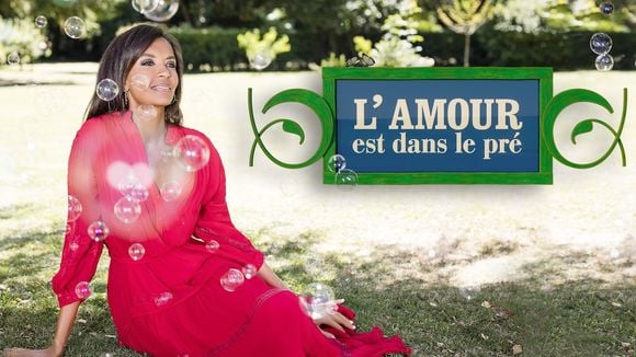 Audiences : "Camping Paradis" leader devant "L'amour est dans le pré" en hausse, W9 frôle le million