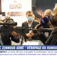 Zemmour armé, la vanne de Hollande, le frère de Bolloré, une candidate déjantée sur M6...