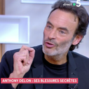 "Vous avez mal lu" : Anthony Delon contredit systématiquement Anne-Elisabeth Lemoine dans "C à vous"