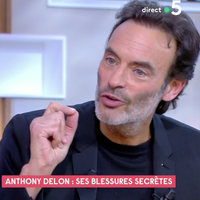 "Vous avez mal lu" : Anthony Delon contredit systématiquement Anne-Elisabeth Lemoine dans "C à vous"