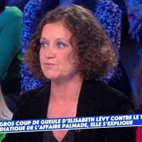 "J'ai l'impression qu'il est le nouveau diable" : Élisabeth Lévy fustige le traitement médiatique de l'affaire Palmade