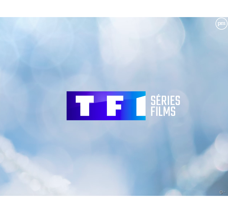 Logo de TF1 SERIES FILMS