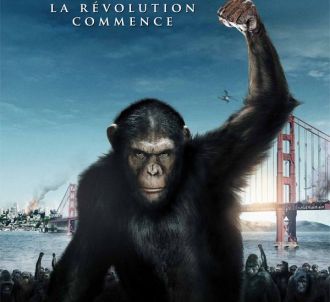 L'affiche française de 'La planète des singes : les...
