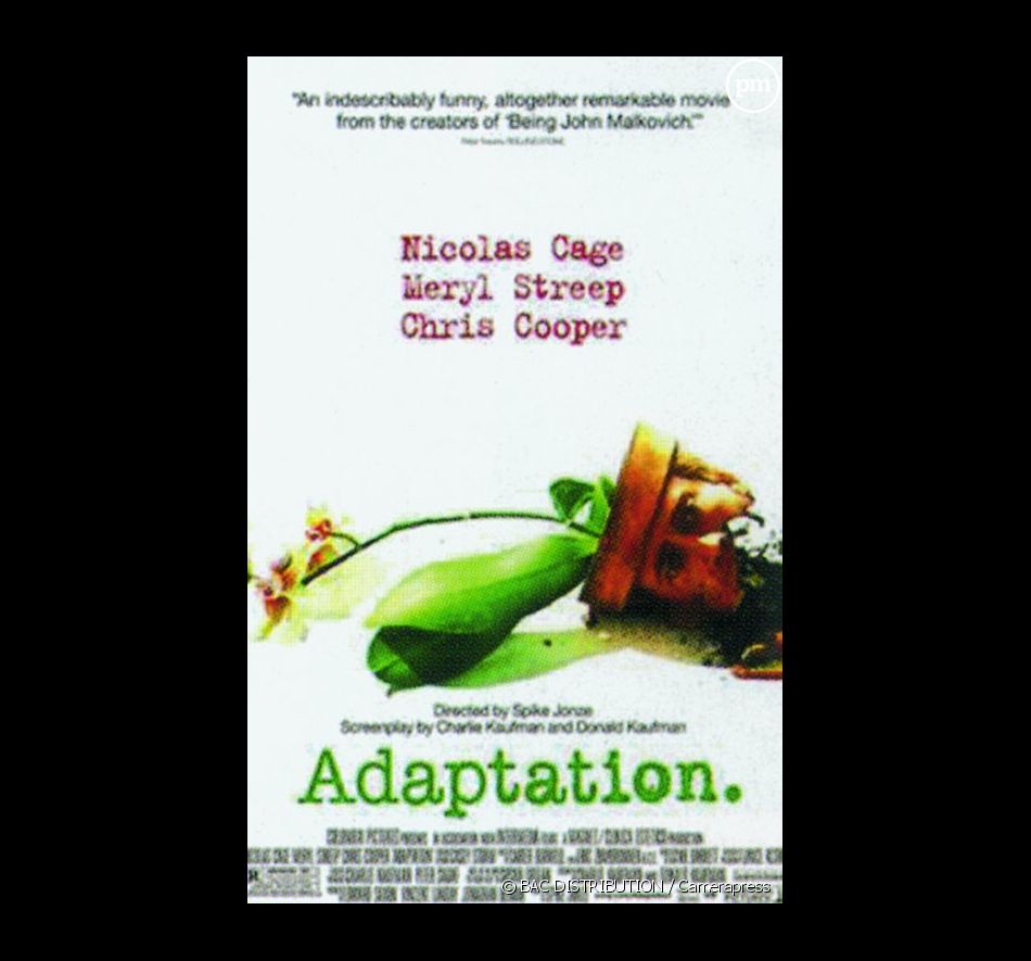 Affiche : Adaptation