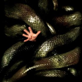 Anacondas : à la poursuite de l'orchidée de sang