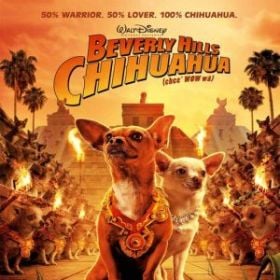 Le Chihuahua De Beverly Hills