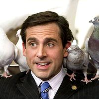 Steve Carell